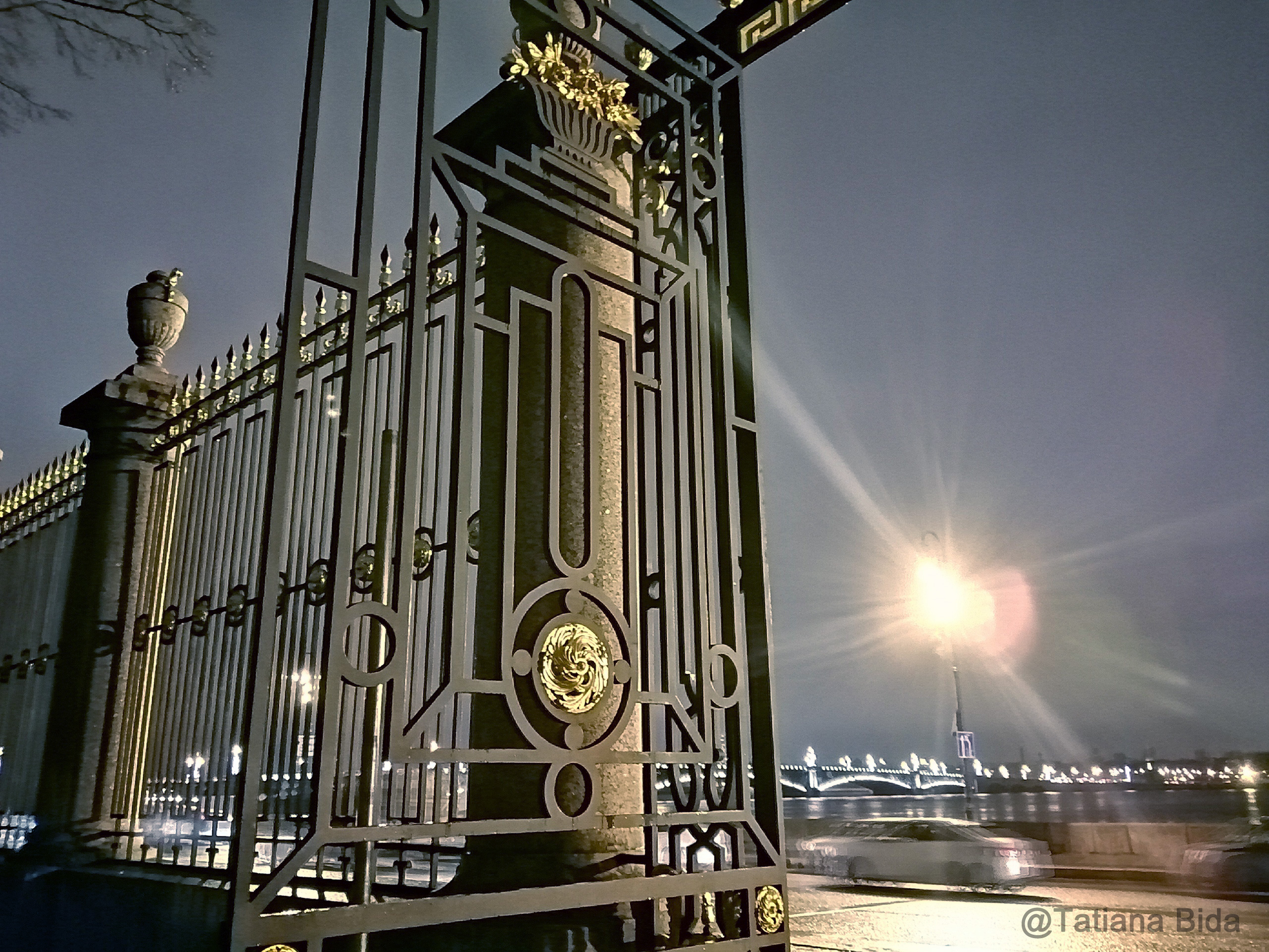 Ночной Петербург: ворота Летнего сада